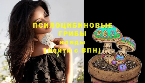 стафф Богородицк