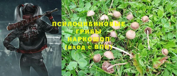 каннабис Богородск