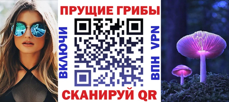 Псилоцибиновые грибы прущие грибы  Купить где  Нариманов 