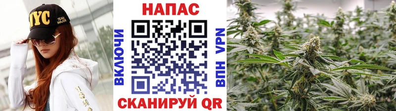 Купить  Нариманов  Марихуана SATIVA & INDICA 